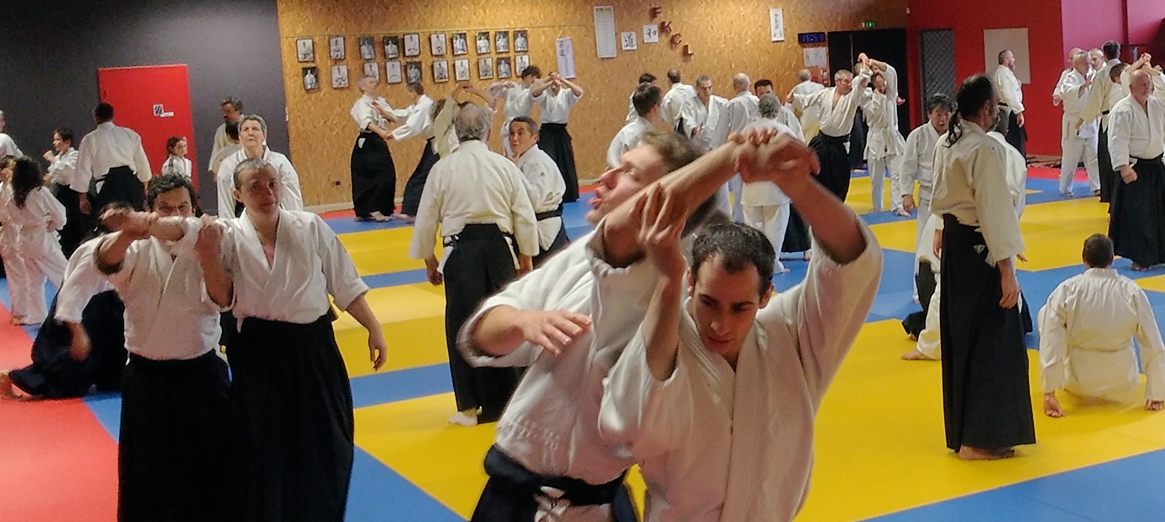 Photos aïkido Plouagat en Bretagne 22 diaporama photos stage art martial d'Alain Peyrache sensei