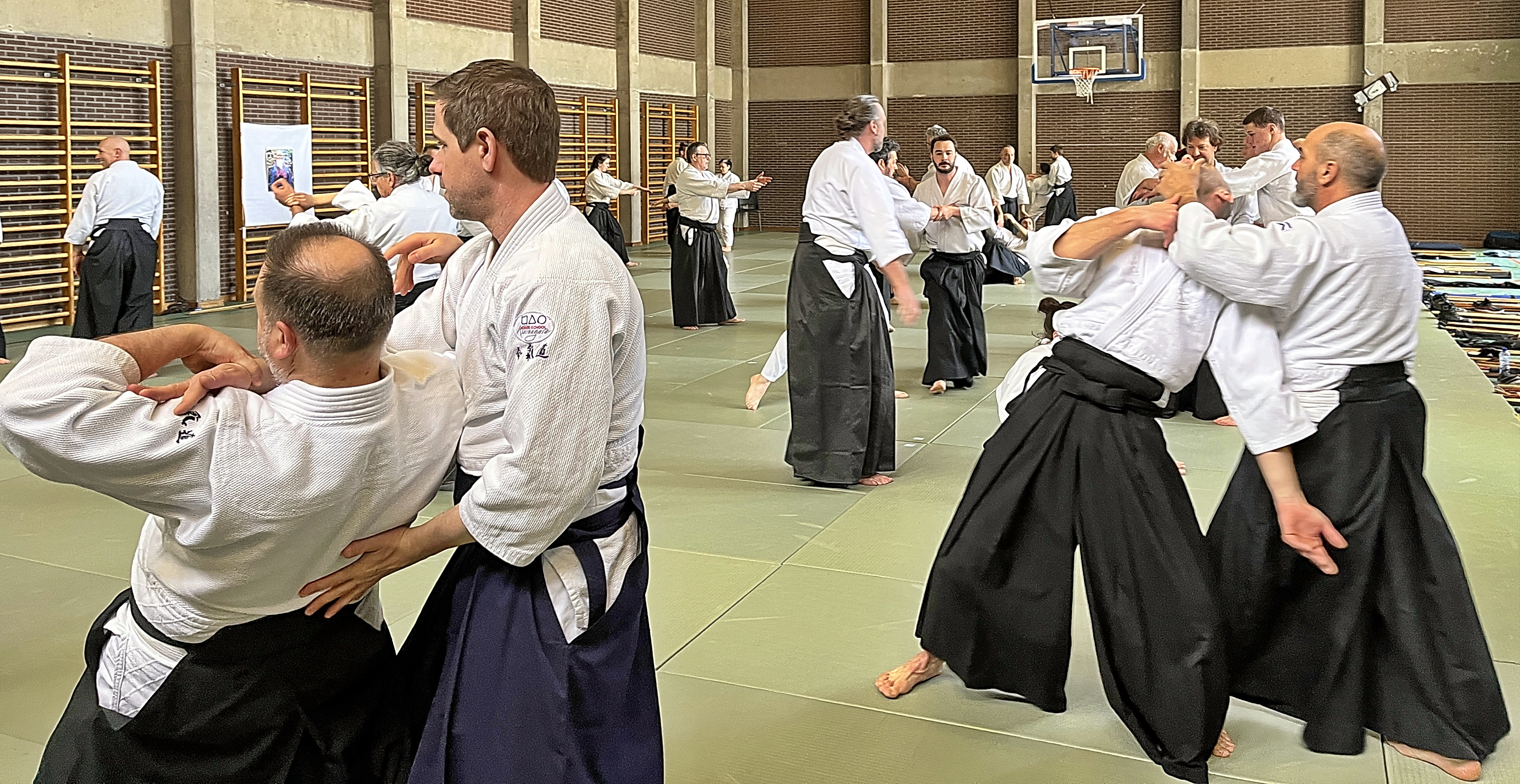 Aïkido Photos art martial Belgique avec Alain Peyrache